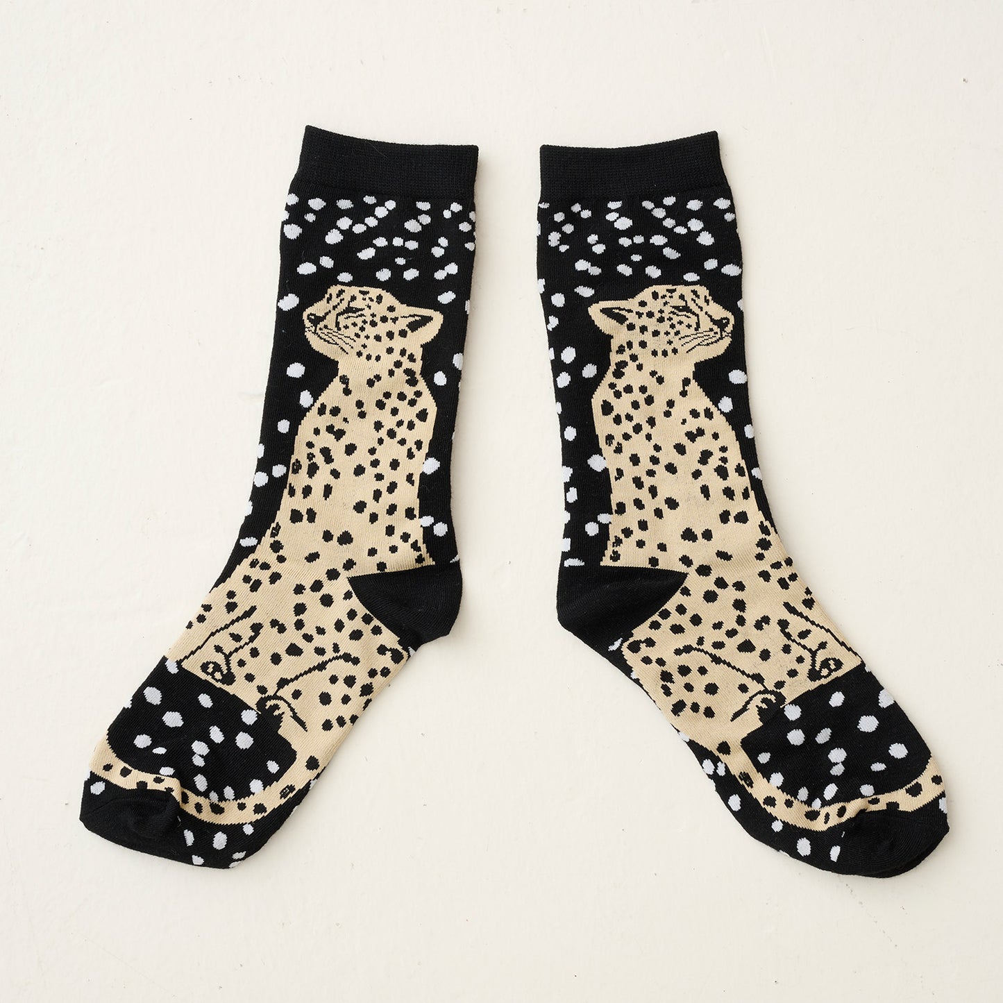 echino/エチノ -socks- ソックス - cocca
