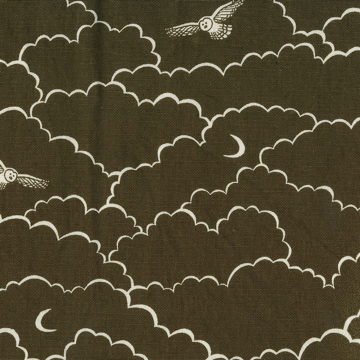 【予約販売】Amelie manchini Terra collection ~Owls~ 綿麻キャンバス