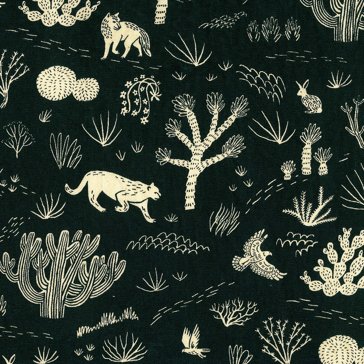 【予約販売】Amelie manchini Terra collection ~Joshua_tree~ 綿麻キャンバス