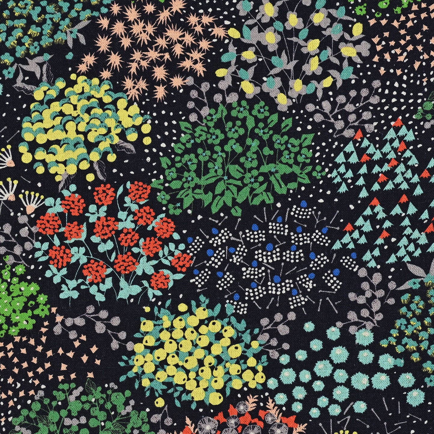 echino/エチノ 2024 ~sketch~ 綿麻キャンバス