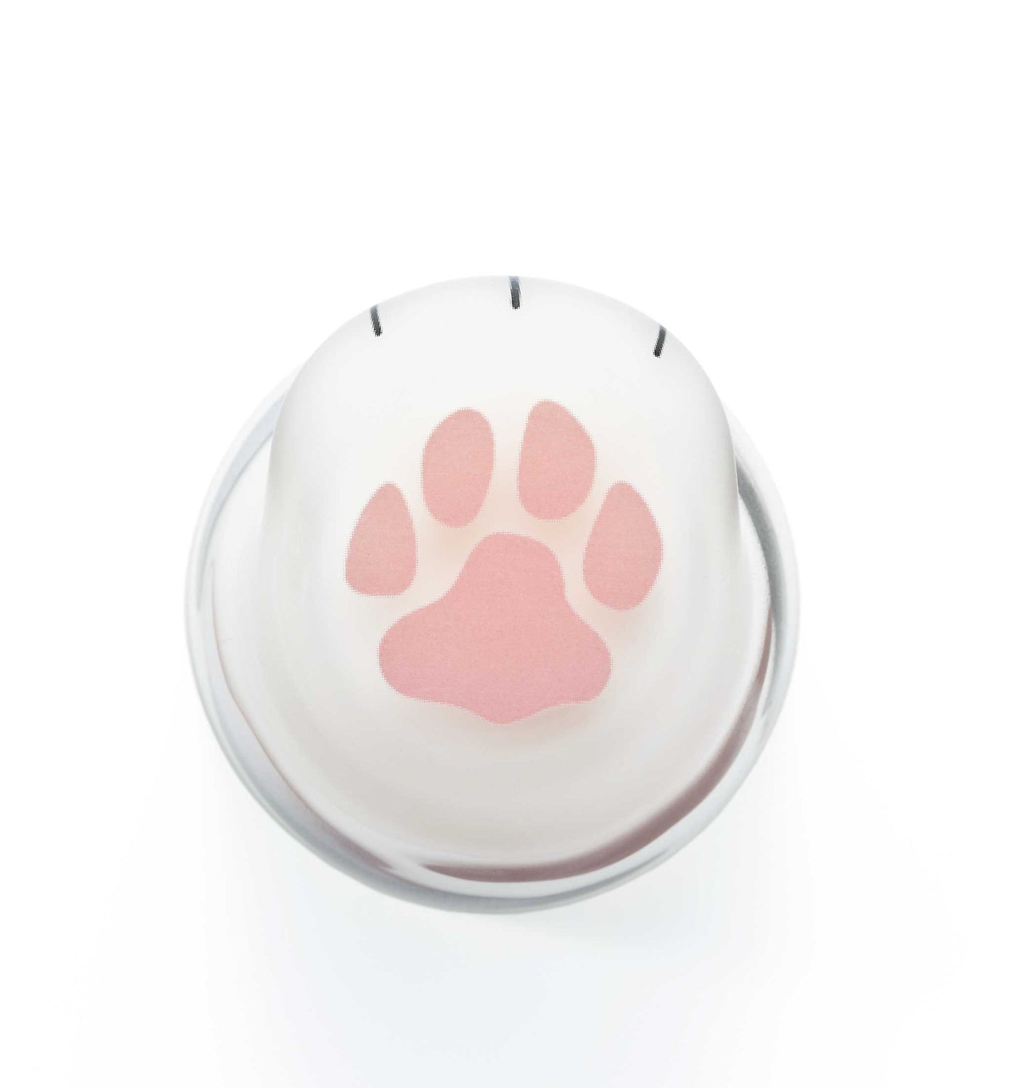 coconeco 子猫コップ 230ml - cocca