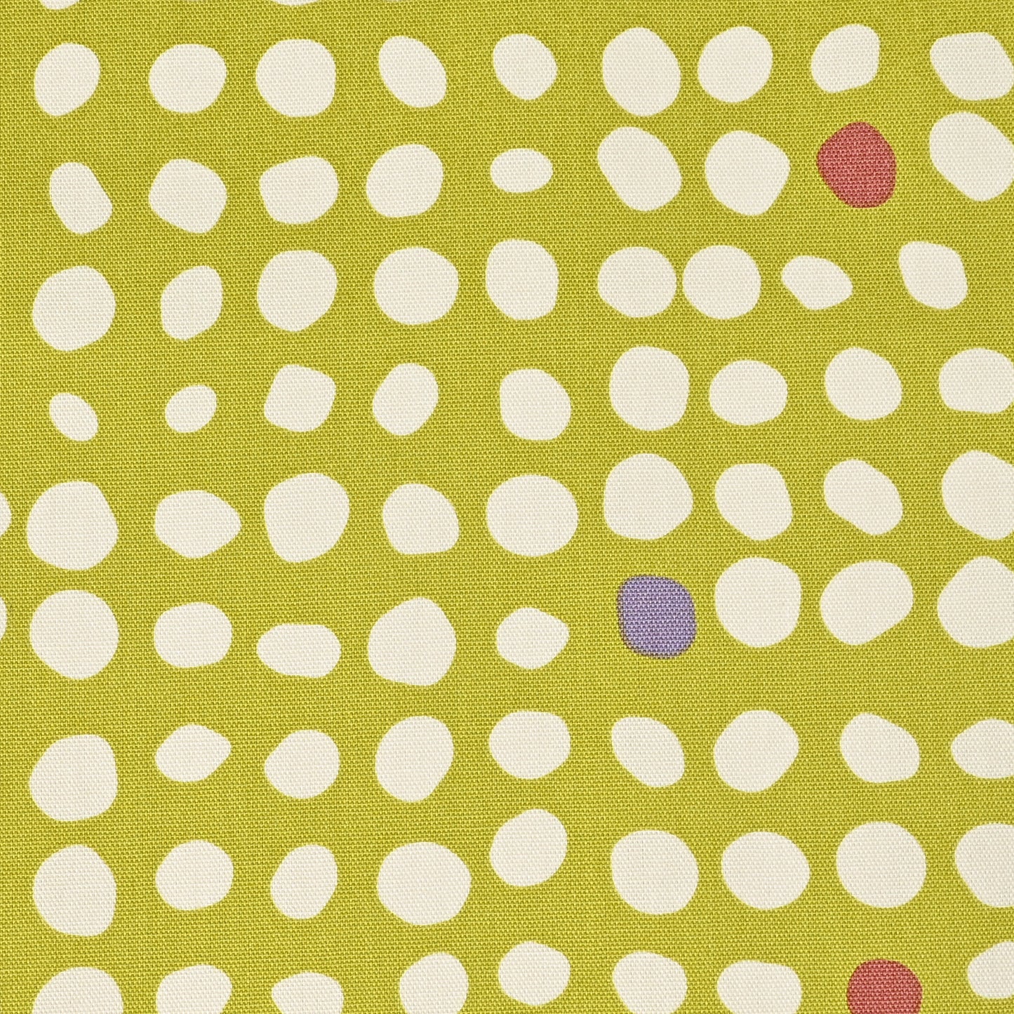 (無料サンプル)Linnea basic ~ドット~ 綿100%オックス - cocca