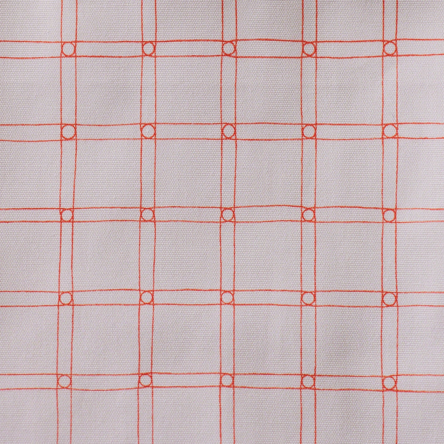 (無料サンプル)Rubber band check オーガニックコットン100%オックス -MUDDY WORKS by Tomotake-