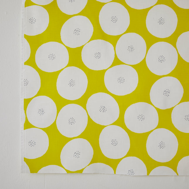 あんぱん -MUDDY WORKS by tomotake- 綿モーリー - cocca