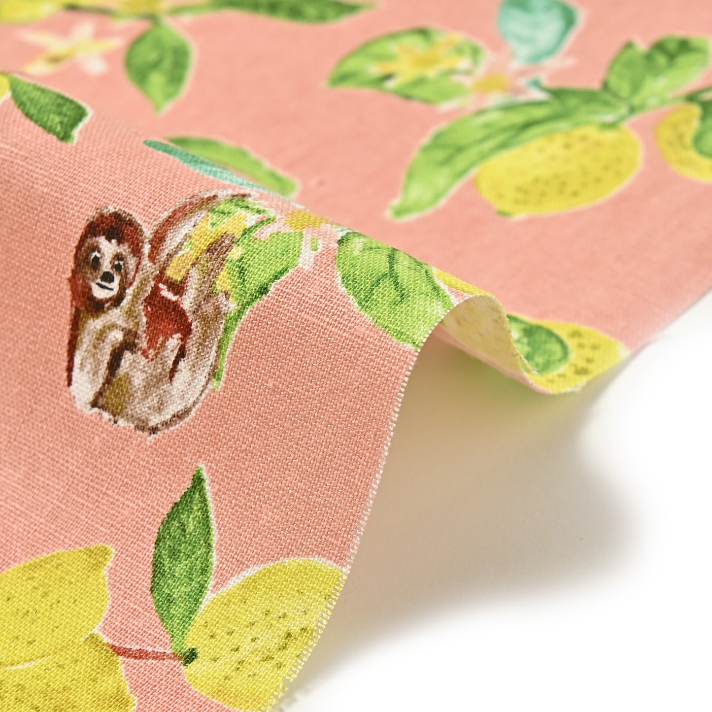 Paper message/ペーパーメッセージ ~レモンとなまけもの~ 綿麻キャンバス