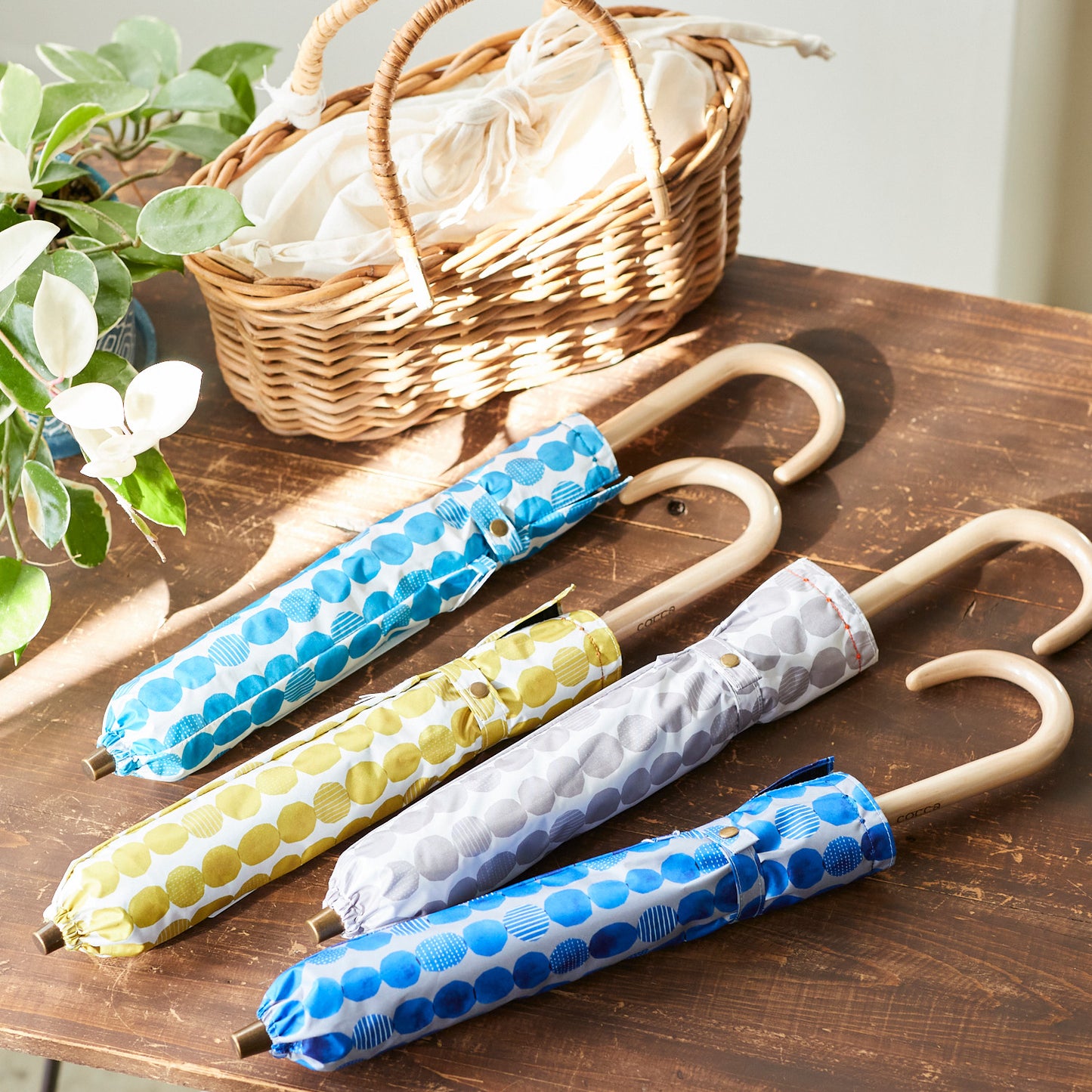 【晴雨兼用】coccaの日傘雨傘 dot 刺繍(折りたたみ)