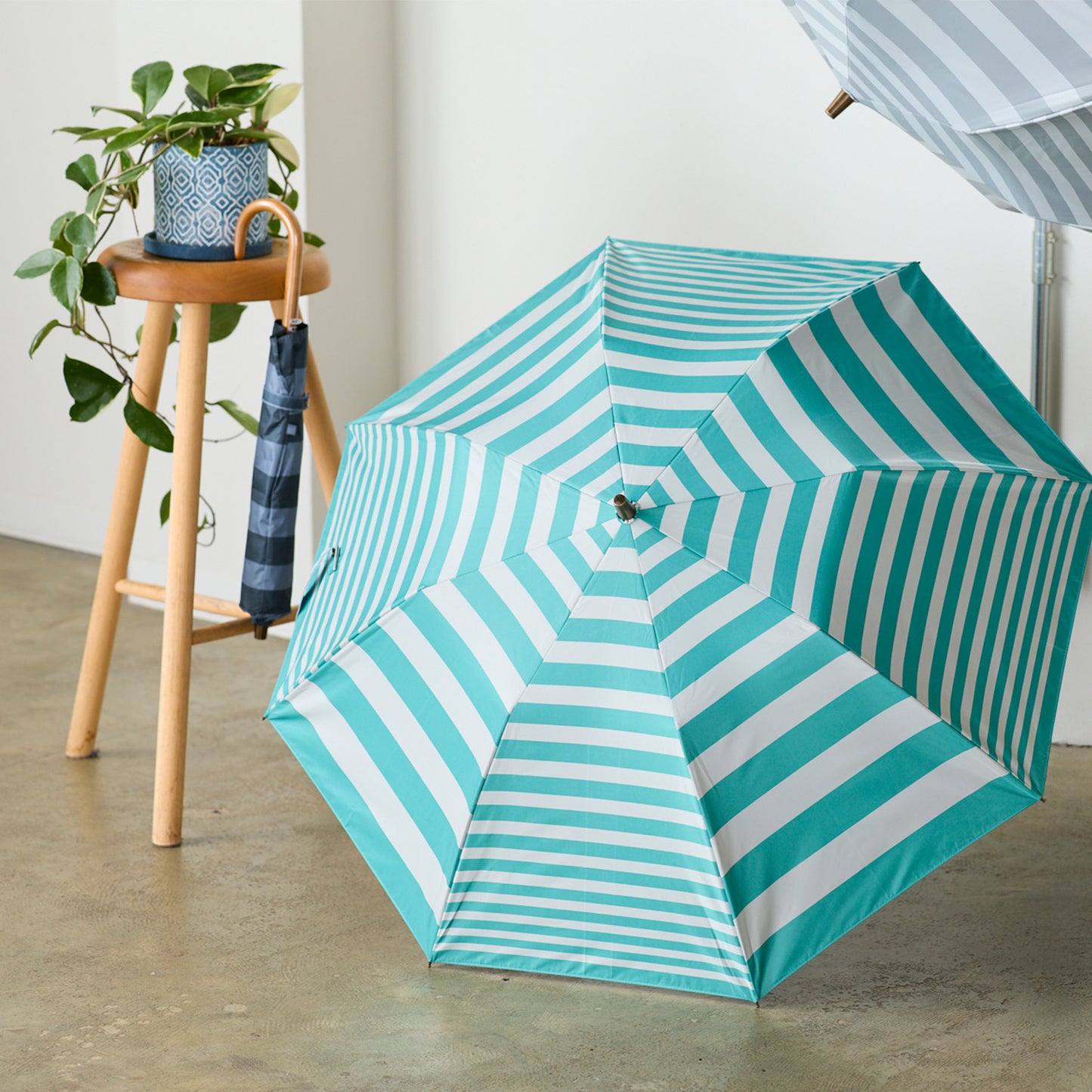 【先行販売】【晴雨兼用】coccaの日傘雨傘 shimauma シマウマ(折りたたみ) - cocca