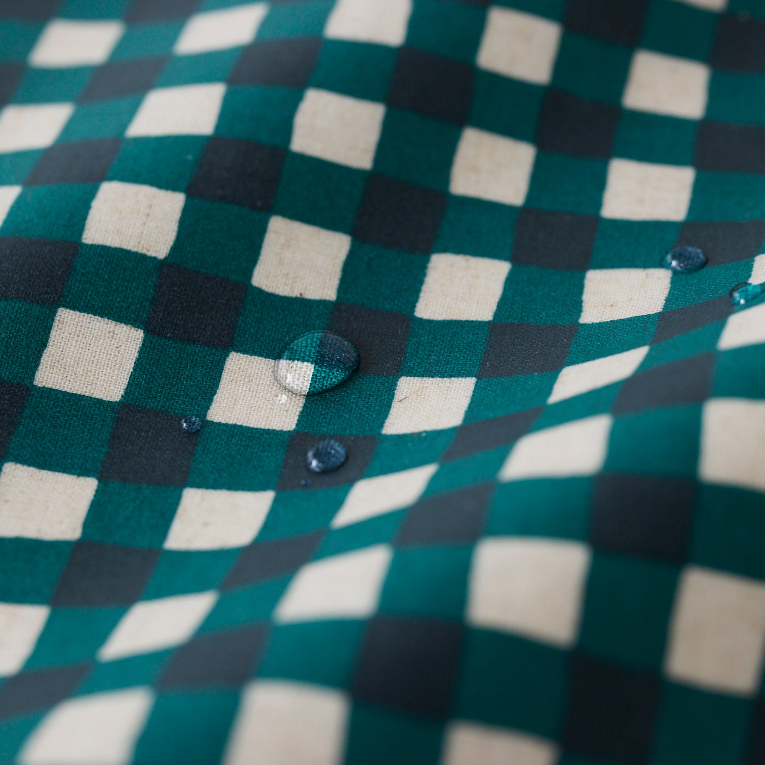 【coccaオリジナル】《ラミネート》gin-gam ギンガム - cocca