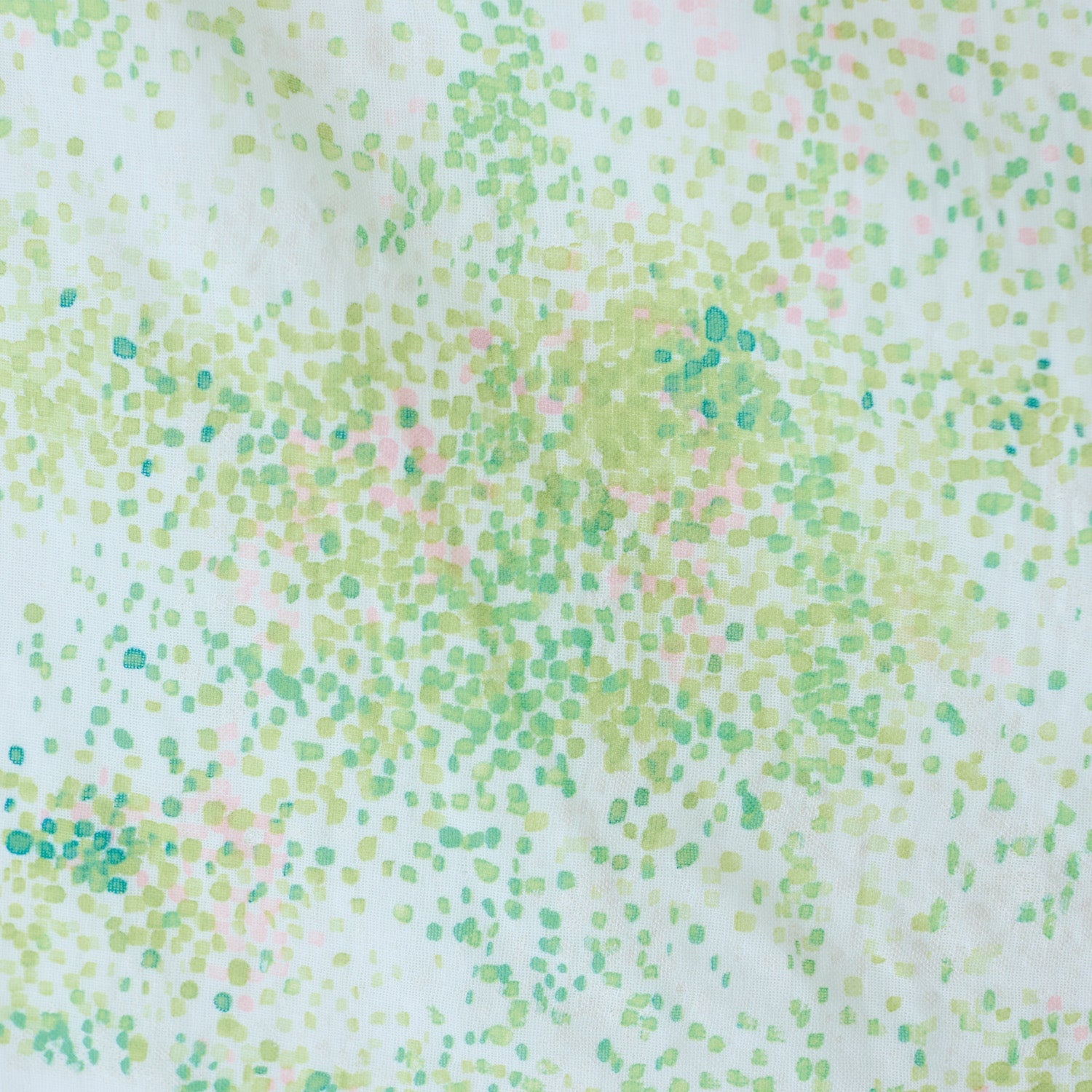 cocca(コッカ) ｜生地通販｜【予約販売】［nani IRO 2026］Water