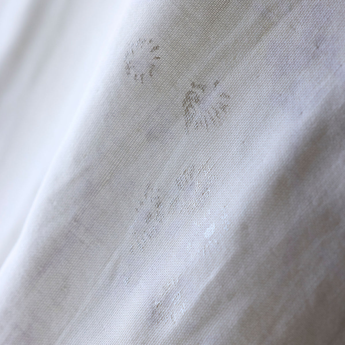 【予約販売】［nani IRO 2027］shanti 綿100% オーガニックWガーゼ - cocca