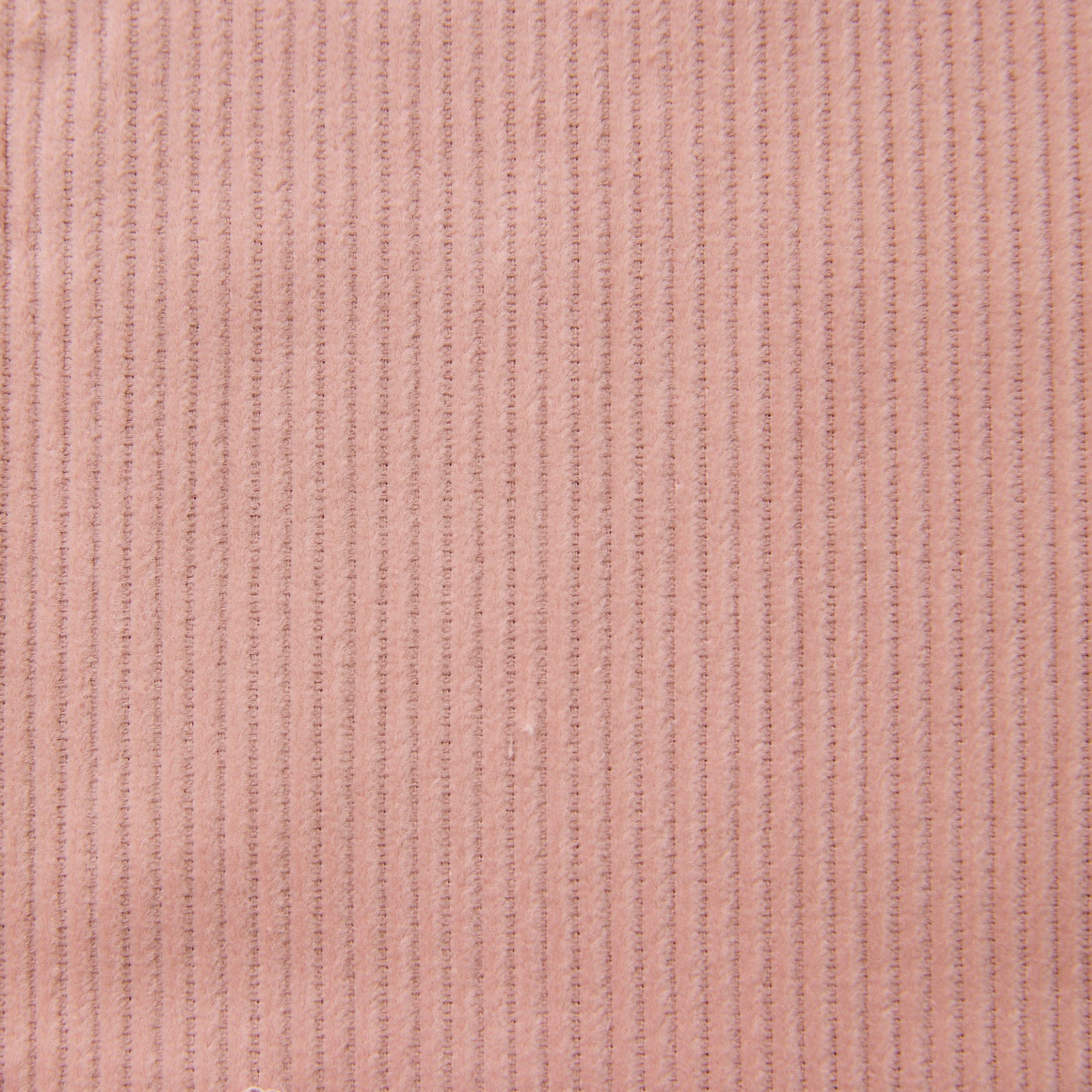 8Wコーデュロイ 巾広 無地 ～綿100％～