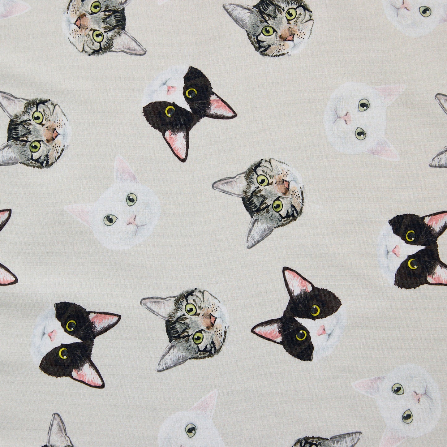 【直営店限定・予約販売】Coony/クーニー Three cats ～綿100%シーチング～