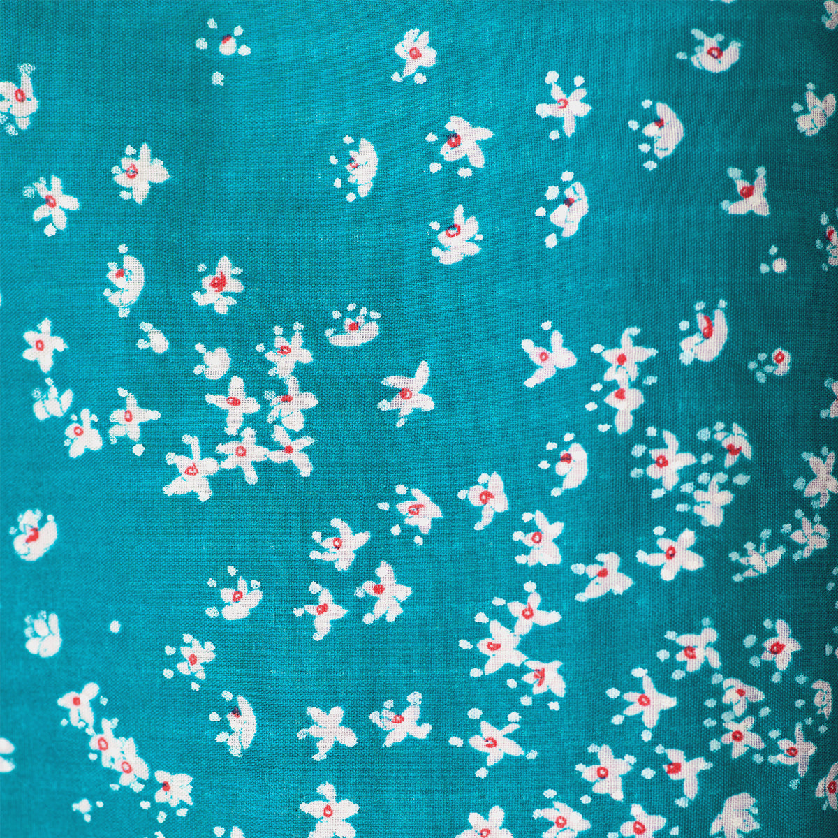 cocca(コッカ) ｜生地通販｜［SUMAU nani IRO］［SUMAU nani IRO 2024