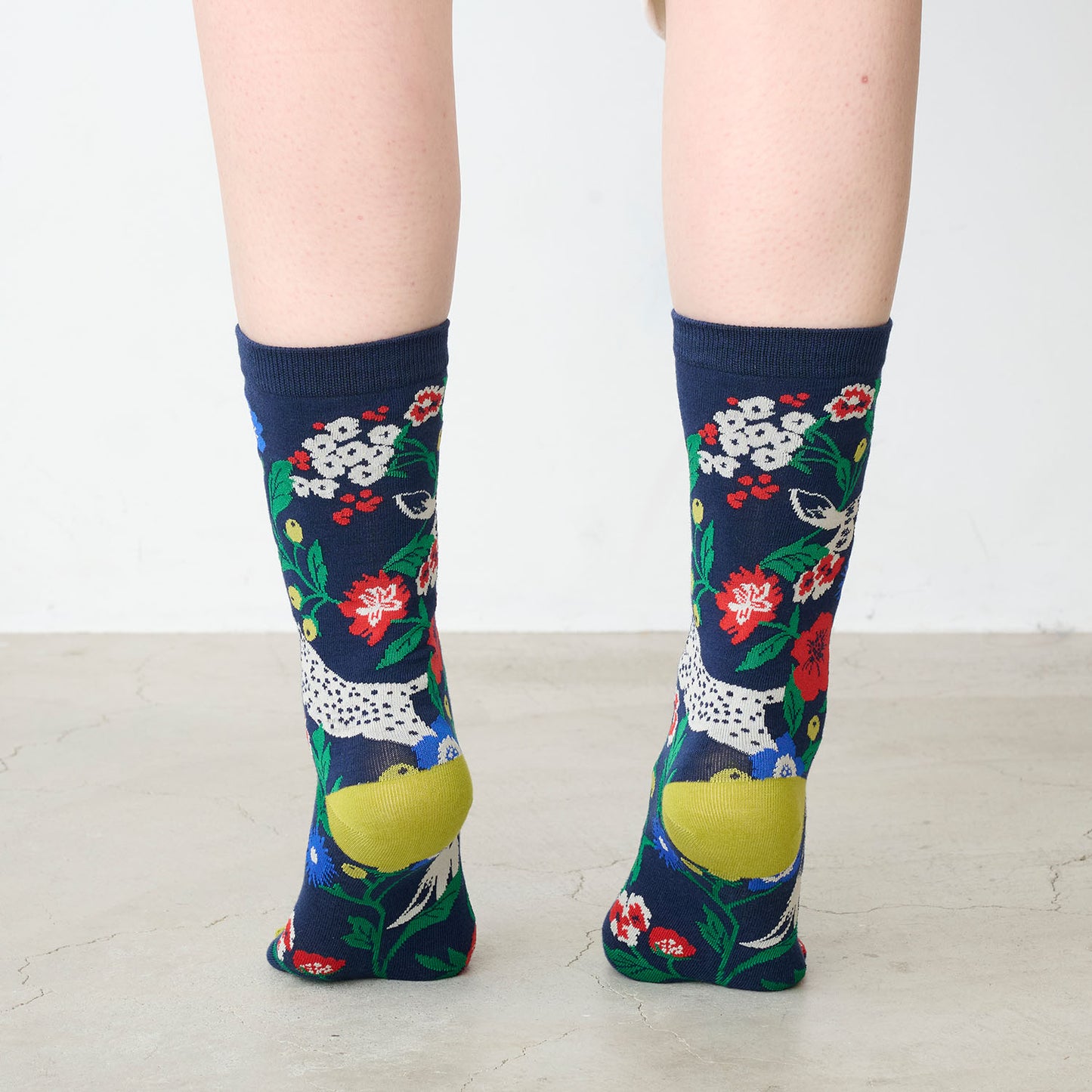 echino/エチノ -socks- ソックス - cocca