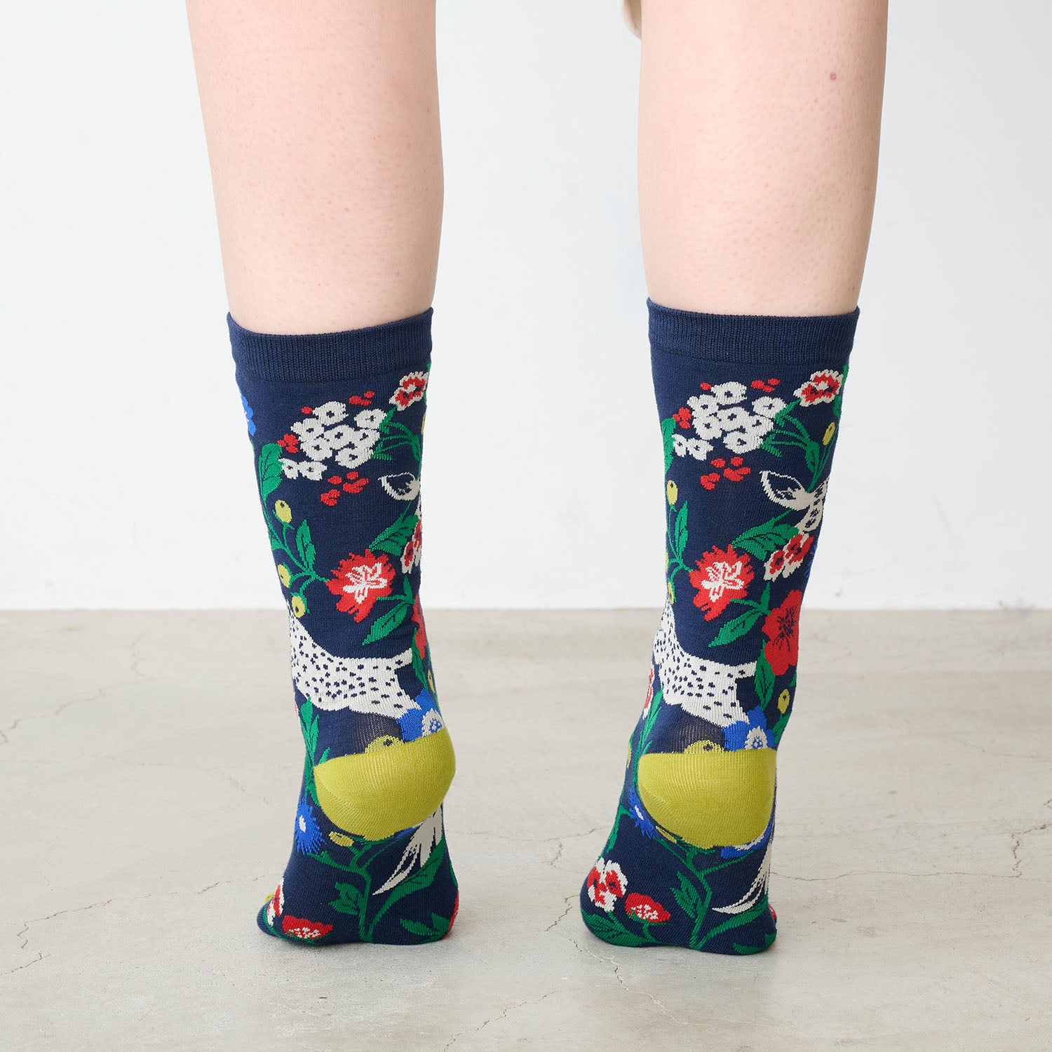 echino/エチノ -socks- ソックス - cocca