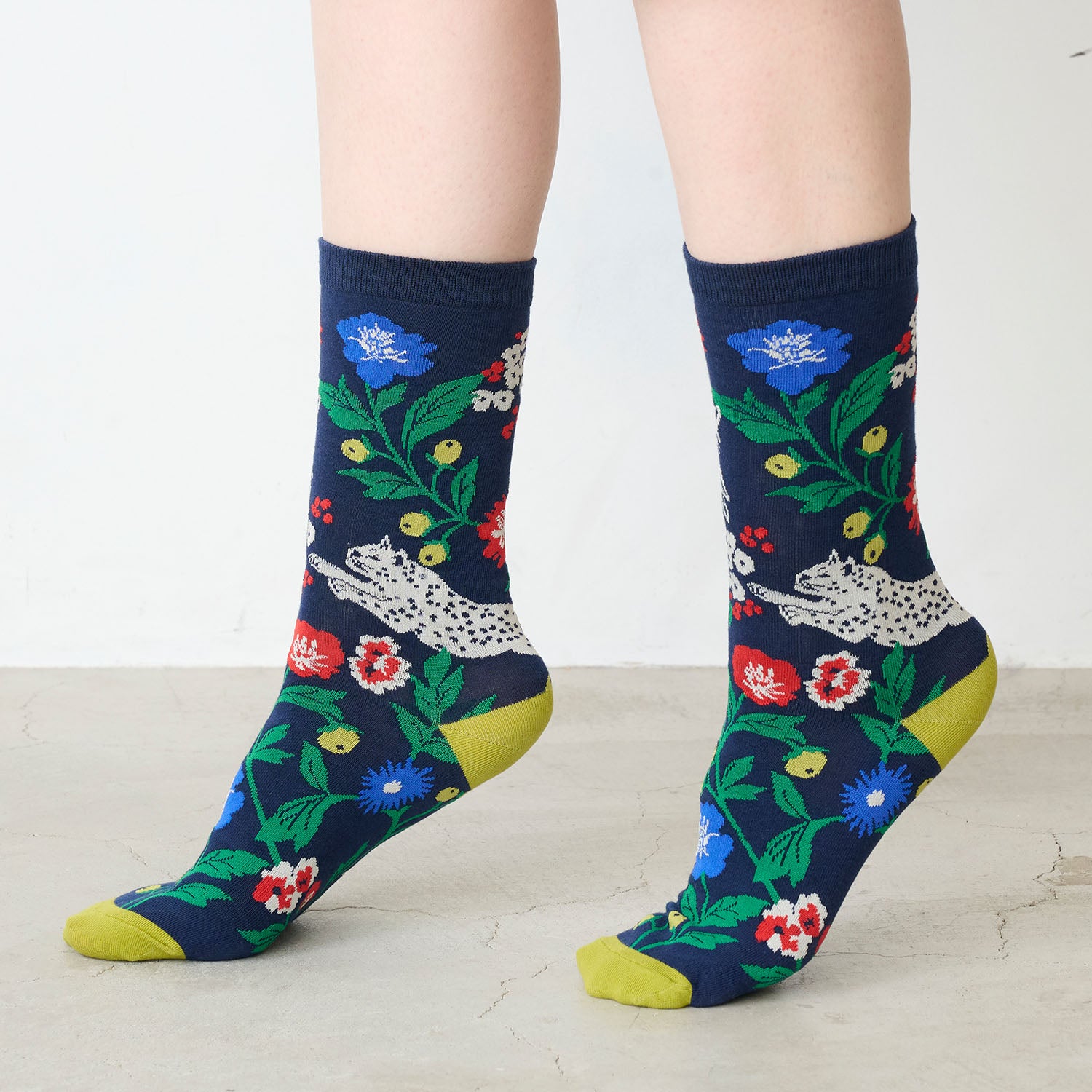 echino/エチノ -socks- ソックス - cocca