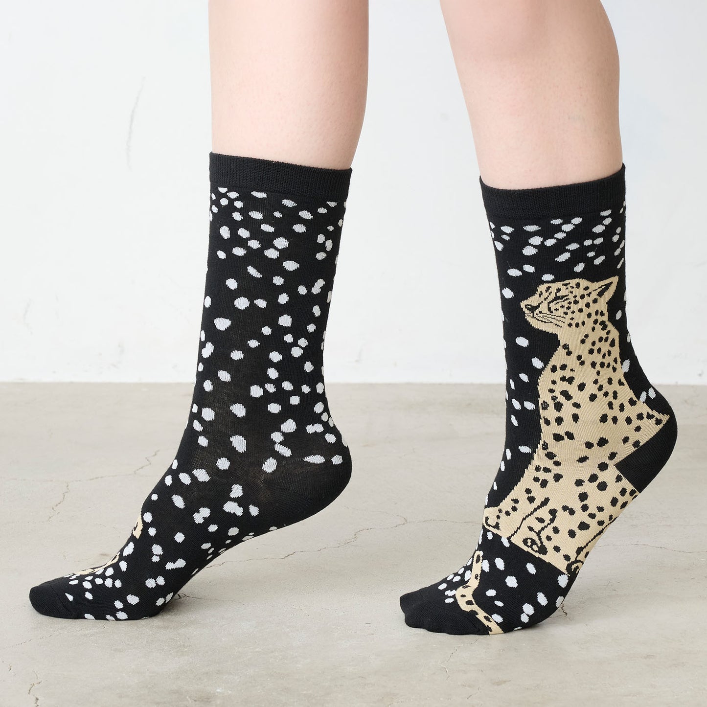 echino/エチノ -socks- ソックス - cocca