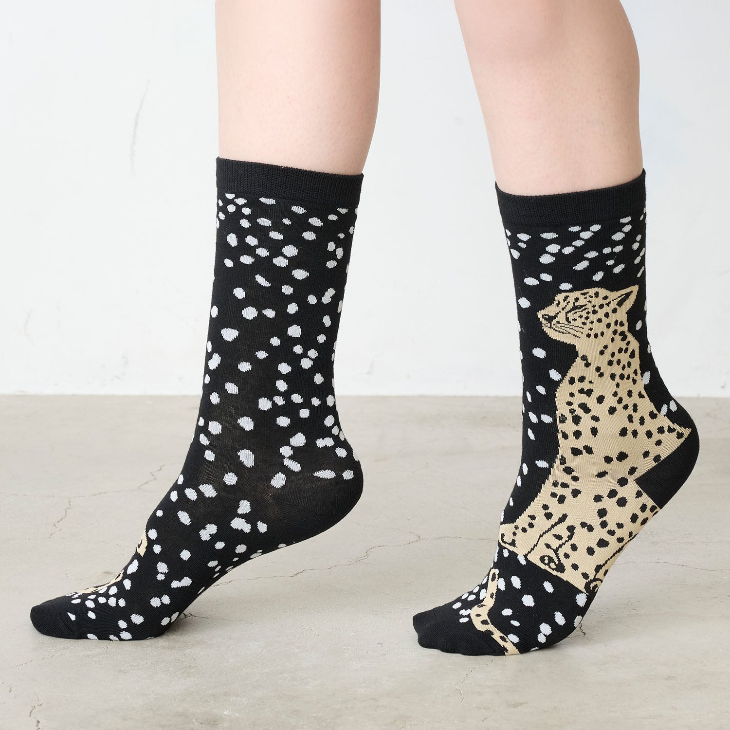 echino/エチノ -socks- ソックス - cocca
