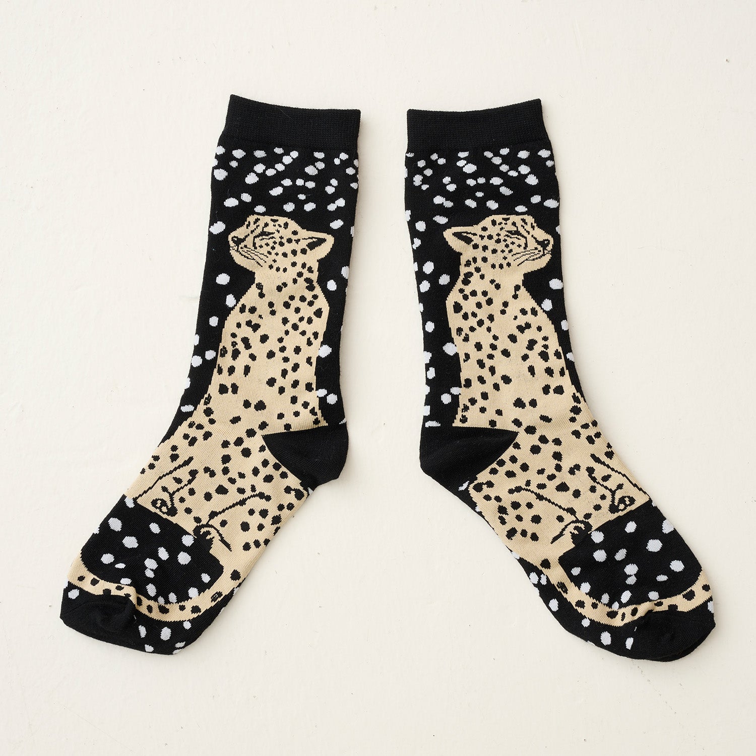 echino/エチノ -socks- ソックス - cocca