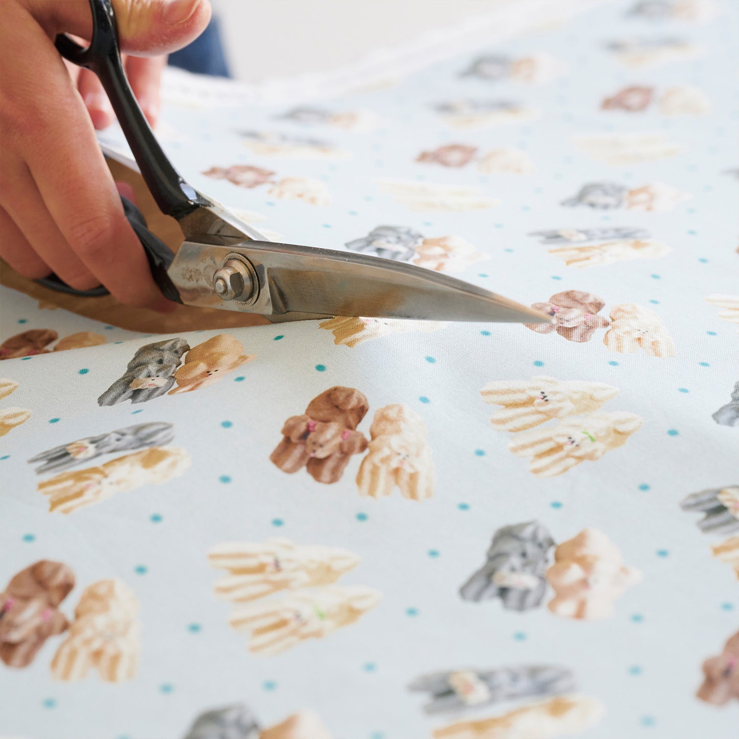【予約販売】Maison terrier ～meringue dogs～ 綿100%シーチング - cocca