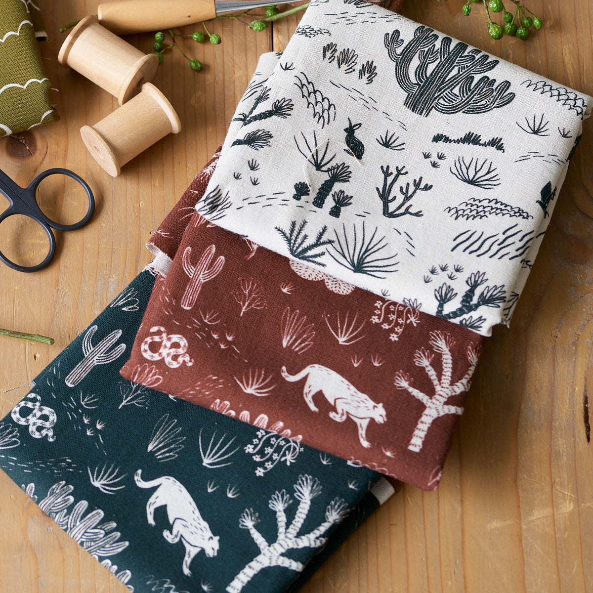 【予約販売】Amelie manchini Terra collection ～Joshua_tree～ 綿麻キャンバス