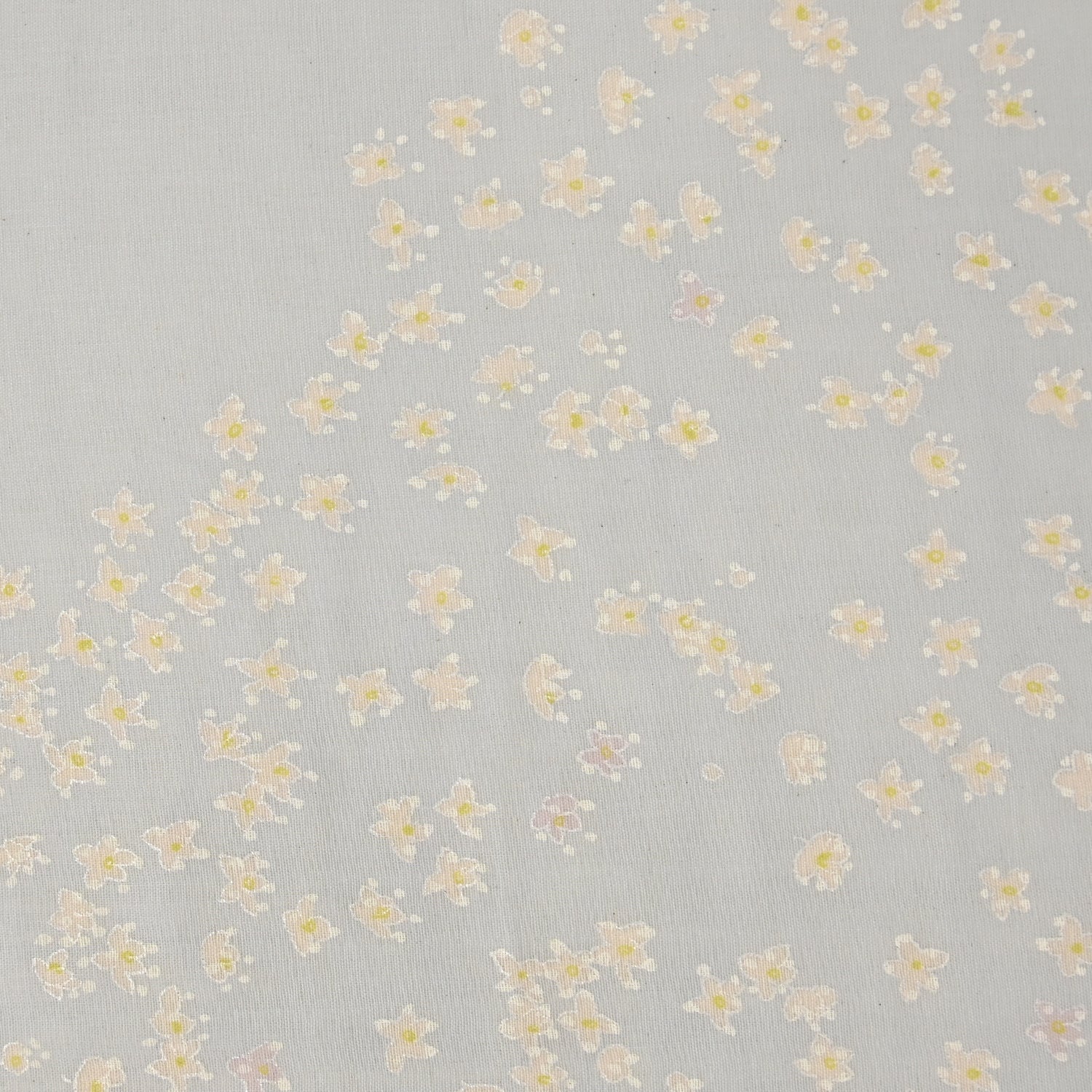 cocca(コッカ) ｜生地通販｜［nani IRO 2024］Edelweiss 綿100