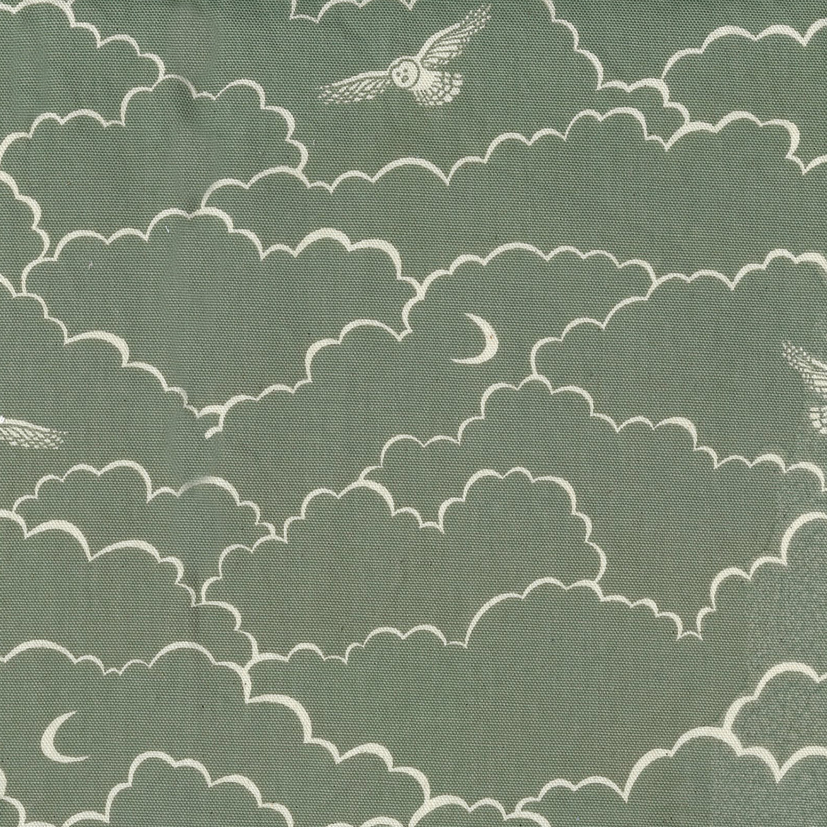 【予約販売】Amelie manchini Terra collection ～Owls～ 綿麻キャンバス - cocca