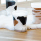 coconeco 子猫コップ 230ml - cocca