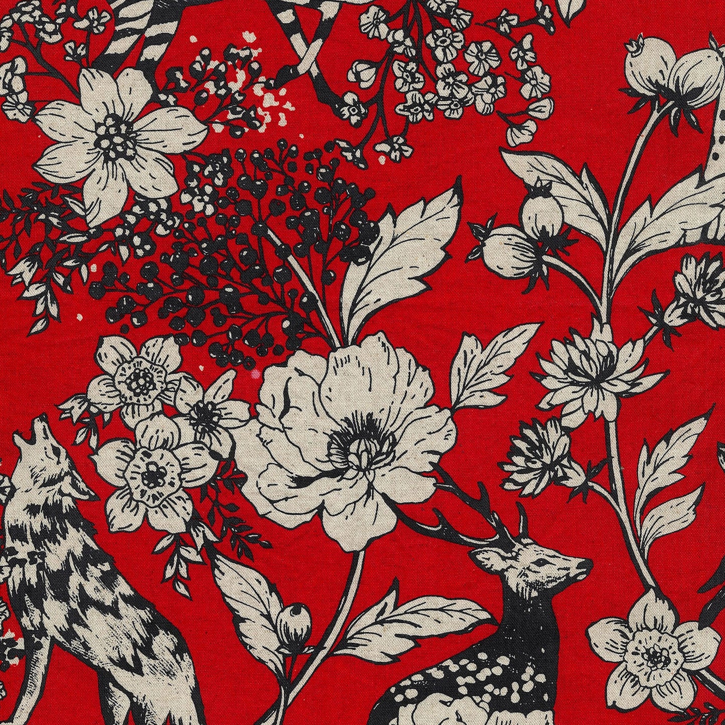 【予約販売】echino/エチノ 2026 ～wonder～ 綿麻キャンバス - cocca