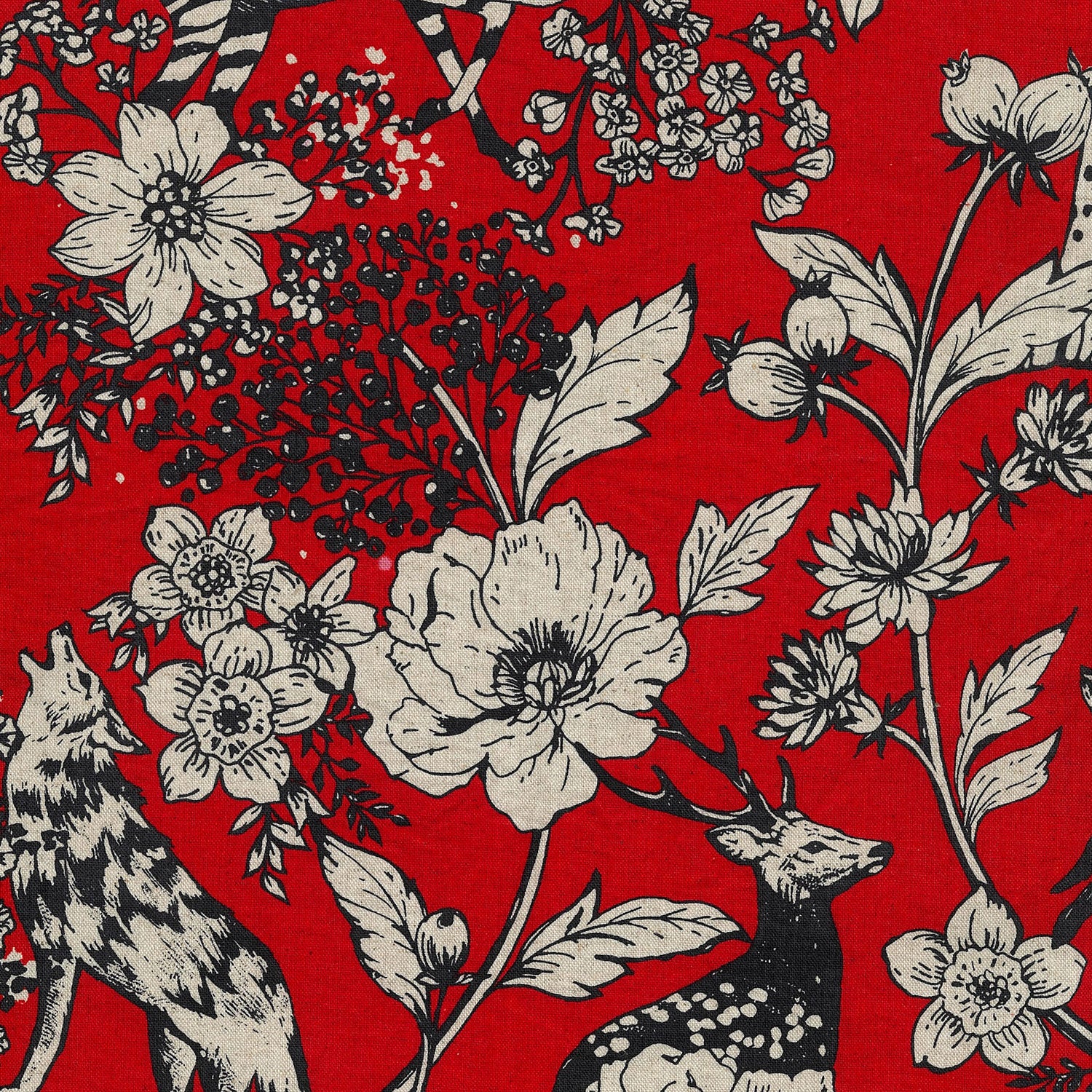 【予約販売】echino/エチノ 2026 ～wonder～ 綿麻キャンバス - cocca