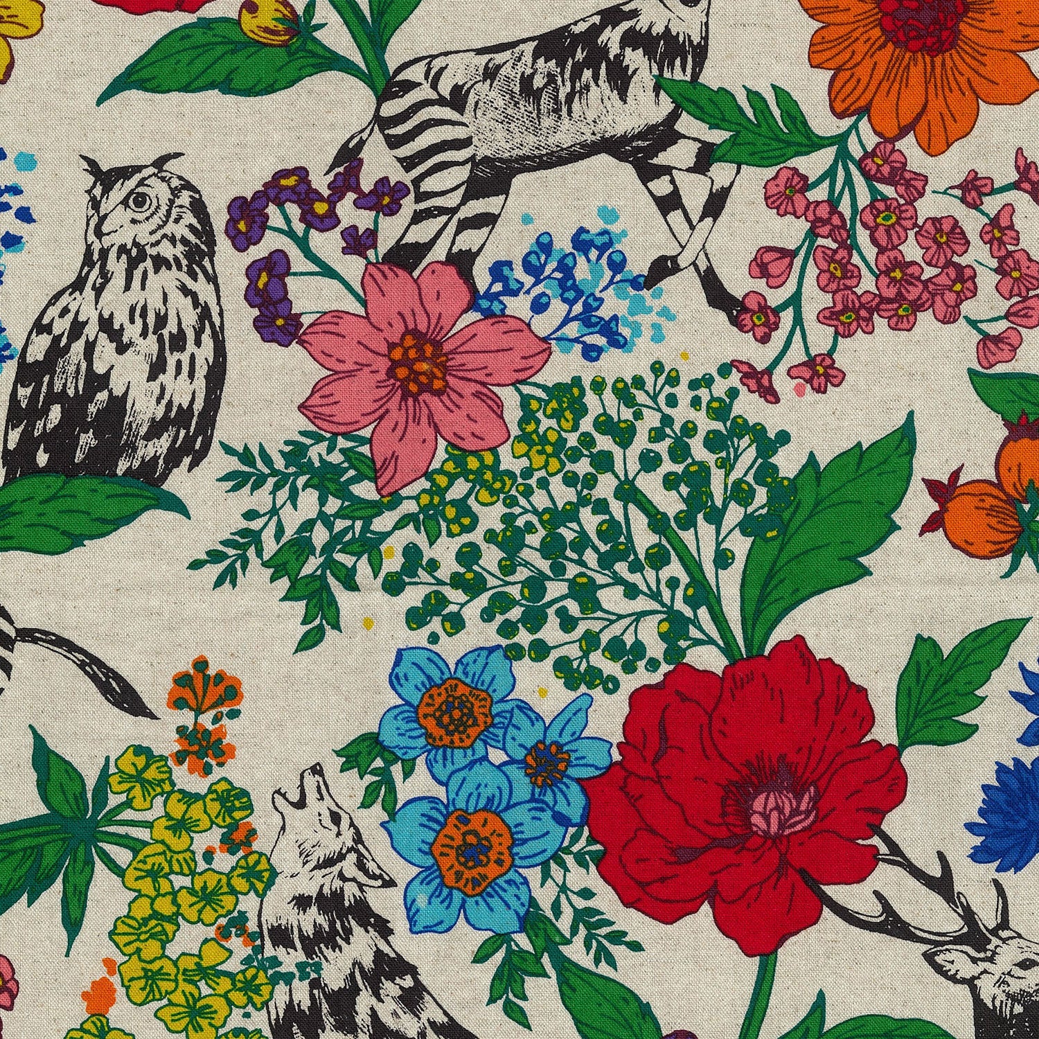 【予約販売】echino/エチノ 2026 ～wonder～ 綿麻キャンバス - cocca