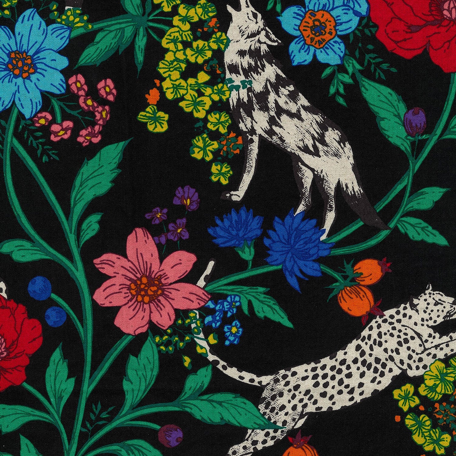 【予約販売】echino/エチノ 2026 ～wonder～ 綿麻キャンバス - cocca