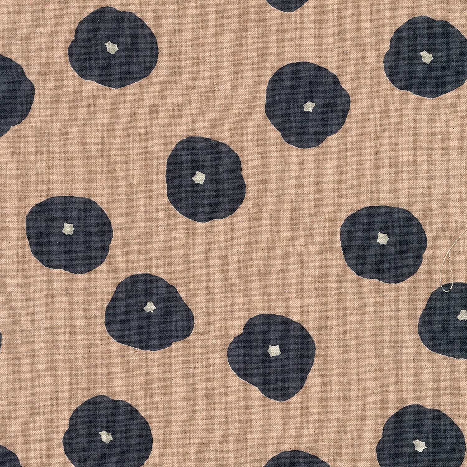 【予約販売】echino/エチノ 2026 ～fluff～ 綿麻キャンバス - cocca