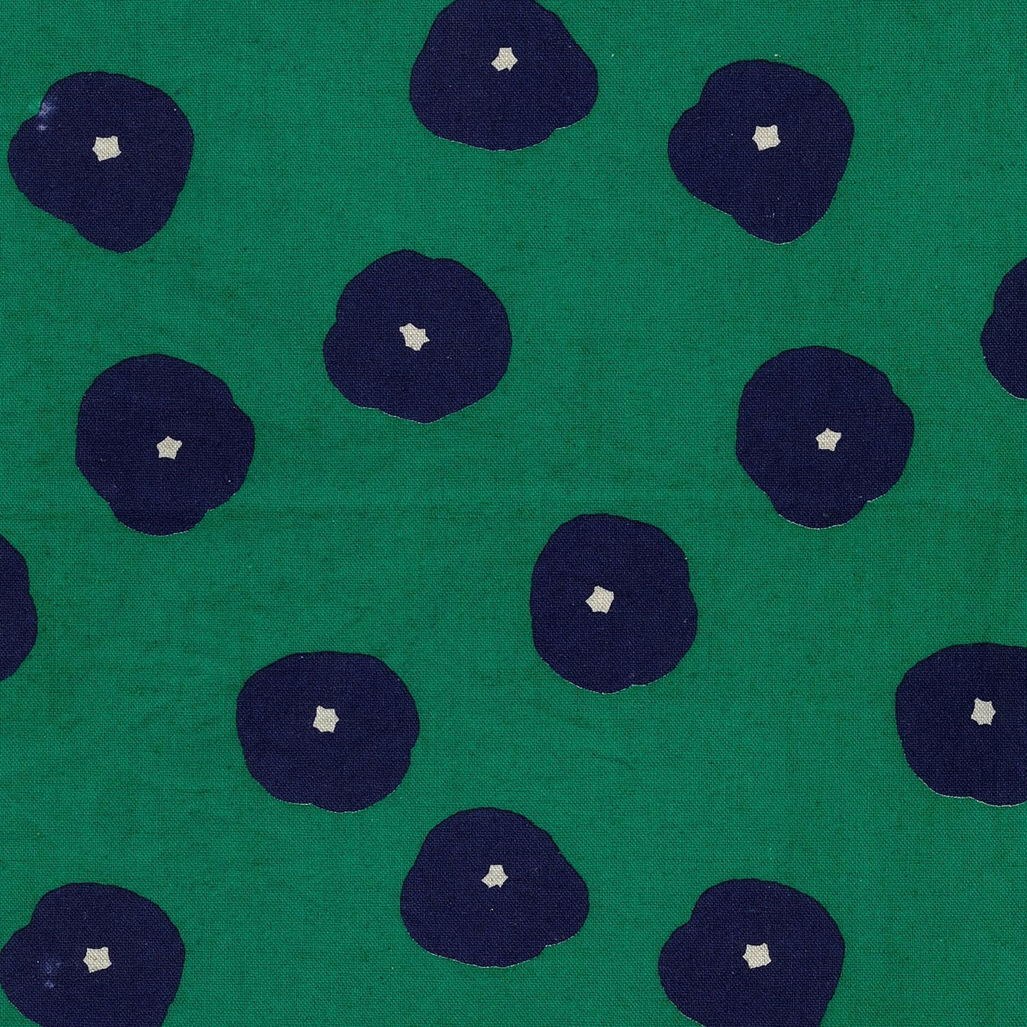 【予約販売】echino/エチノ 2026 ～fluff～ 綿麻キャンバス - cocca