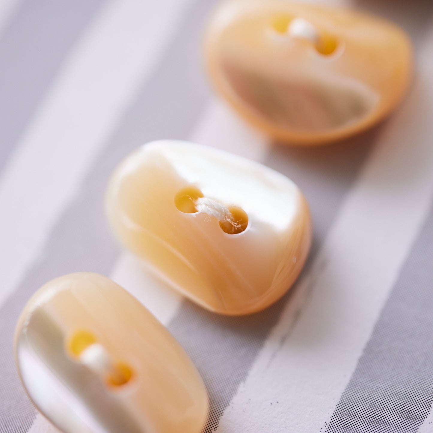 【4Nov】貝ボタン  コーヒー豆型(高瀬貝)