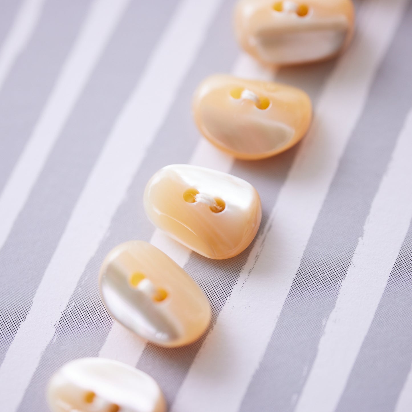 【4Nov】貝ボタン  コーヒー豆型(高瀬貝)