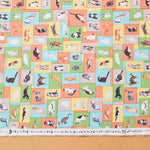 【予約販売】Paper message/ペーパーメッセージ ～猫と小部屋～ 綿100%シーチング