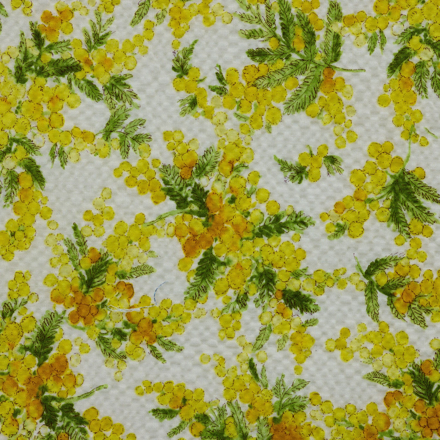 （無料サンプル）ミモザ ～リップル加工～ 綿100％ - cocca