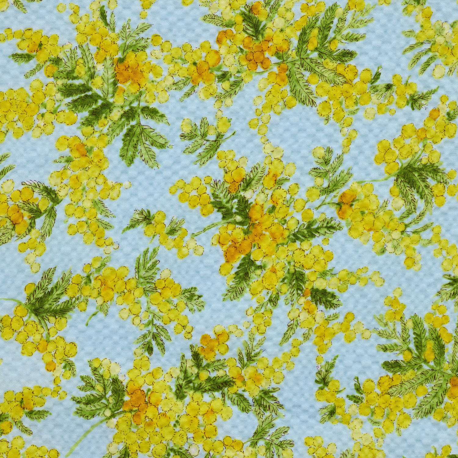 cocca(コッカ) ｜生地通販｜ミモザ ～リップル加工～ 綿100％