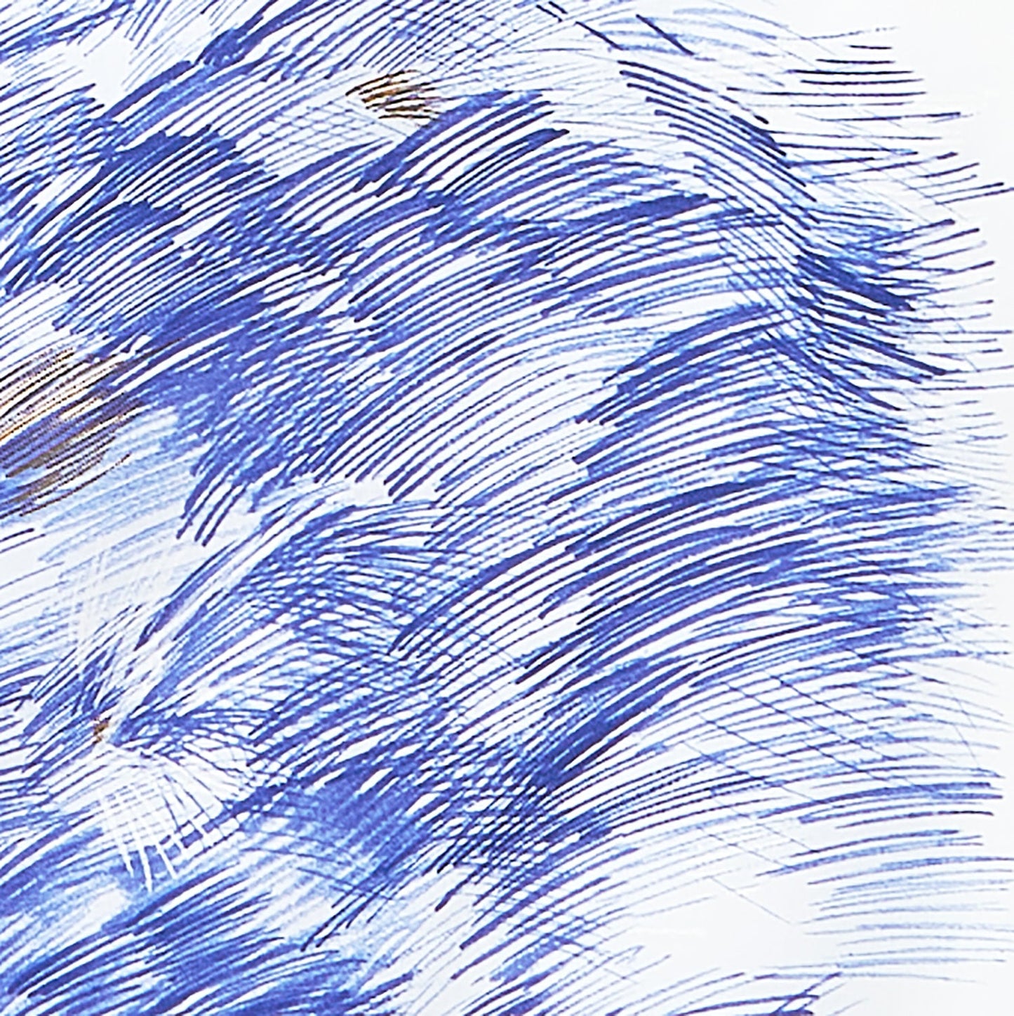 (無料サンプル)［nani IRO 2022］Good sign 60ダブルガーゼ - cocca