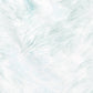 ［nani IRO 2022］Good sign 60ダブルガーゼ