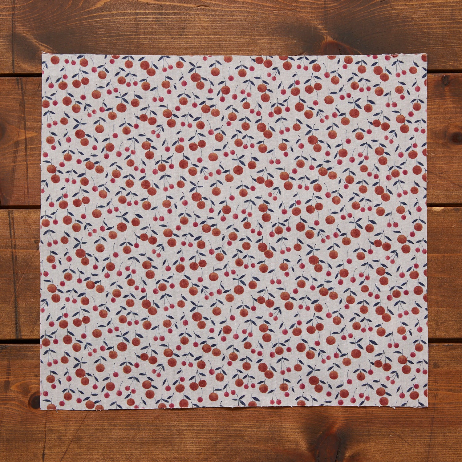 kokka67980.jpg?v=1662604149&