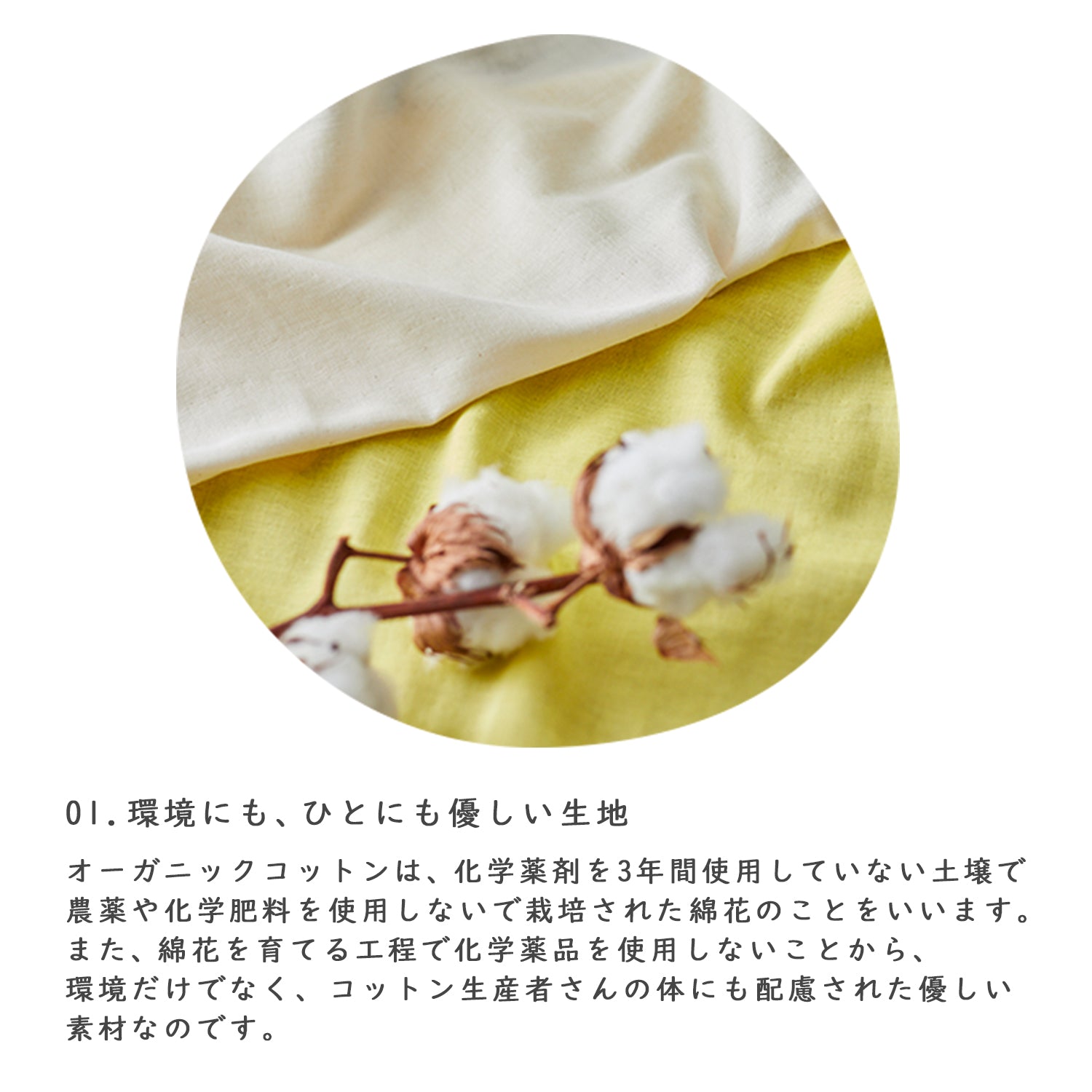 (無料サンプル)日本製オーガニックコットン100％シーチング - cocca